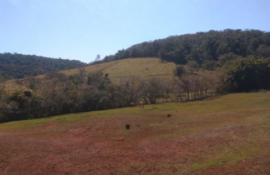Fazenda para venda em Arandu