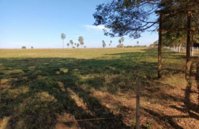 Fazenda para venda em Avaré