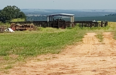 Fazenda para venda em BAURU