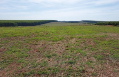 Fazenda para venda em BAURU