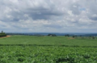 Fazenda para venda em BAURU