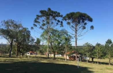 Fazenda para venda em Avaré