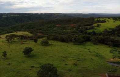 Fazenda para venda em Presidente Olegário