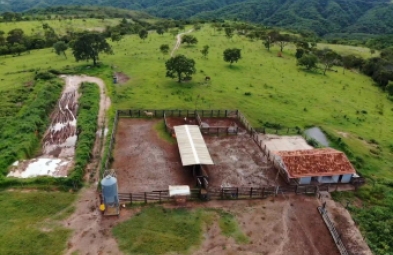 Fazenda para venda em Presidente Olegário