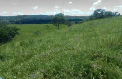 Fazenda para venda em Planalto da Serra