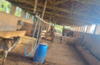 Sítio para venda em Avaré