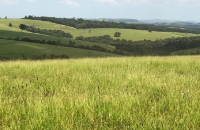 Fazenda para venda em Taquarituba