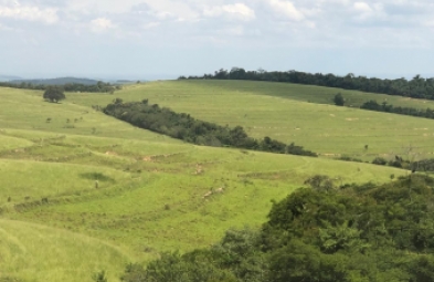 Fazenda para venda em Taquarituba