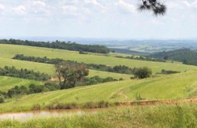Fazenda para venda em Riversul