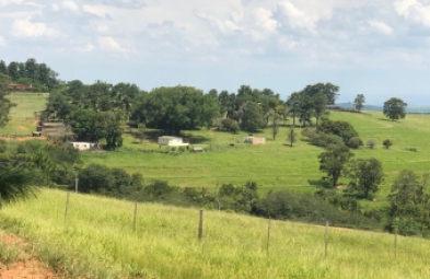 Fazenda para venda em Riversul