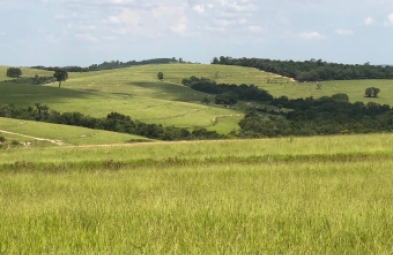 Fazenda para venda em Riversul