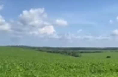 Fazenda para venda em Curralinhos