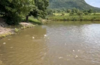 Fazenda para venda em Monte Alegre de Goiás
