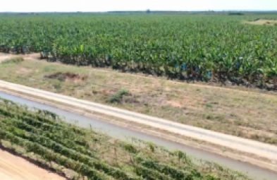 Fazenda para venda em Jaiba