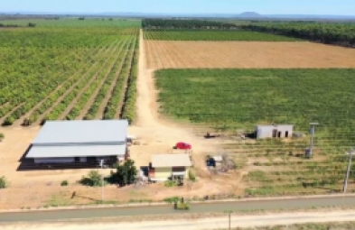 Fazenda para venda em Jaiba