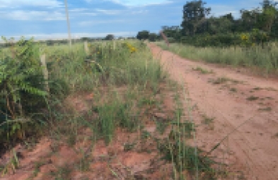 Fazenda para venda em Três Marias