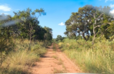 Fazenda para venda em Três Marias