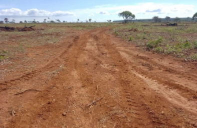 Fazenda para venda em Felixlandia