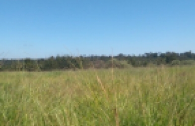 Fazenda para venda em São Francisco