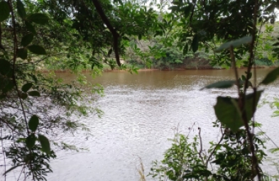 Fazenda para venda em Vale do Jequitinhonha