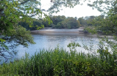 Fazenda para venda em Vale do Jequitinhonha