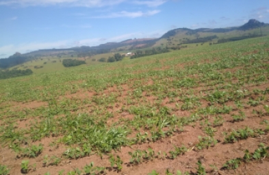 Fazenda para venda em PIRAJU