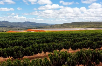 Fazenda para venda em Buenópolis