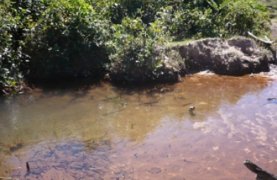 Fazenda para venda em Lizarda
