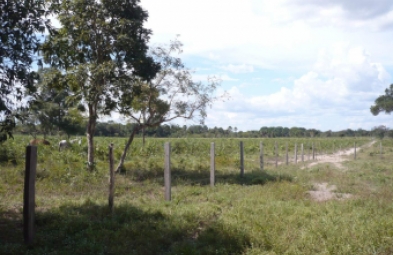 Fazenda para venda em Lizarda