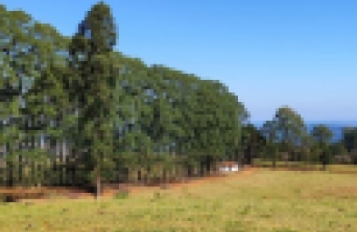 Fazenda para venda em Botucatu