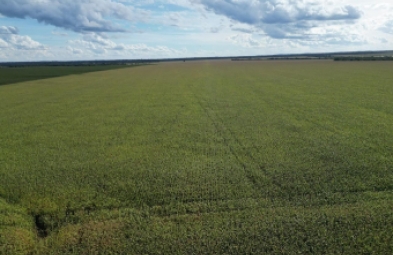 Fazenda para venda em Marcelândia
