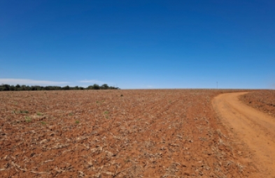 Fazenda para venda em Itaporanga
