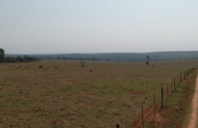 Fazenda para locação em Águas de Santa Bárbara
