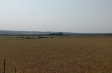 Fazenda para locação em Águas de Santa Bárbara