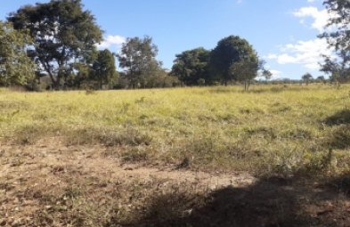 Fazenda para venda em São João Daliança