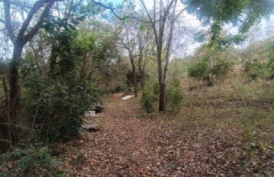 Sítio para venda em Avaré