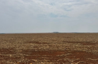 Fazenda para venda em Dourados