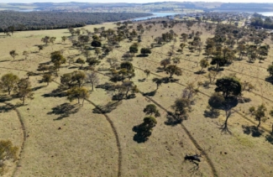 Fazenda para venda em Itaí