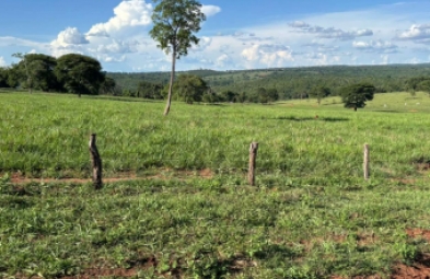 Fazenda para venda em Camapuã