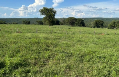 Fazenda para venda em Camapuã