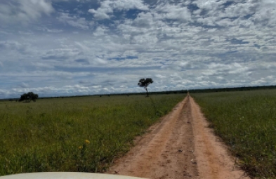 Fazenda para venda em Chapada Gaucha