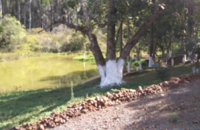 Sítio para venda em Avaré