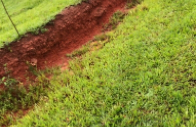 Fazenda para venda em BARÃO DE ANTONINA
