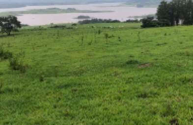 Fazenda para venda em BARÃO DE ANTONINA