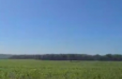 Fazenda para venda em Arealva