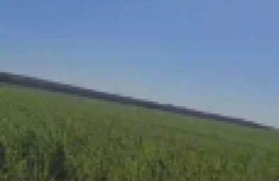 Fazenda para venda em Arealva