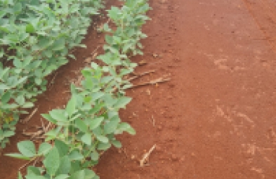 Fazenda para venda em Dourados