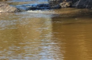 Fazenda para venda em Diamantina