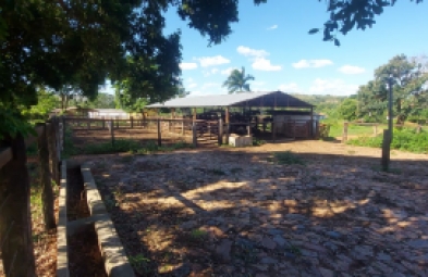 Fazenda para venda em Diamantina