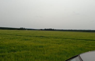 Fazenda para venda em Avaré